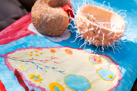 Festival podjetništva za mlade _ 2025 (3)